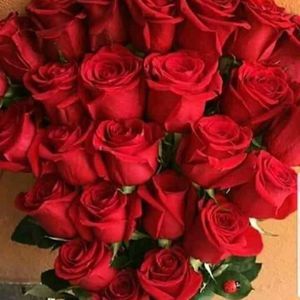 Meet your Posher, Ramona